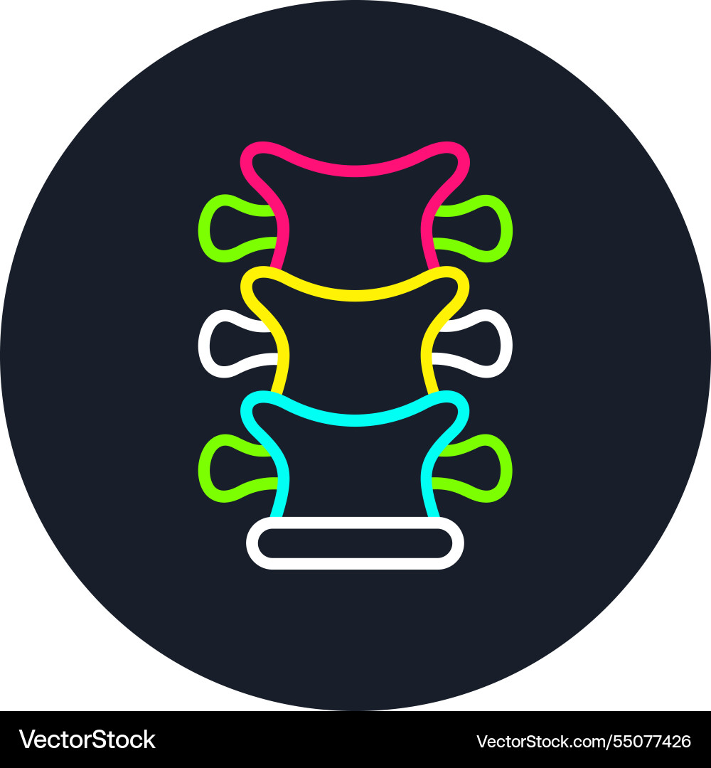 Spinal cord line multi color icon Vector Image