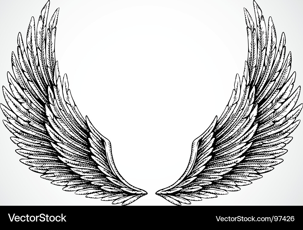 Alas e. Alas e. Alas e. Красивые крылья. Alas e.