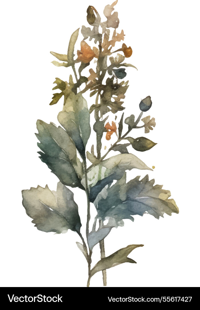 Aquarell bemalte Blume Hand gezogen Aquarell bemalte Blume Hand gezogen vektorbild