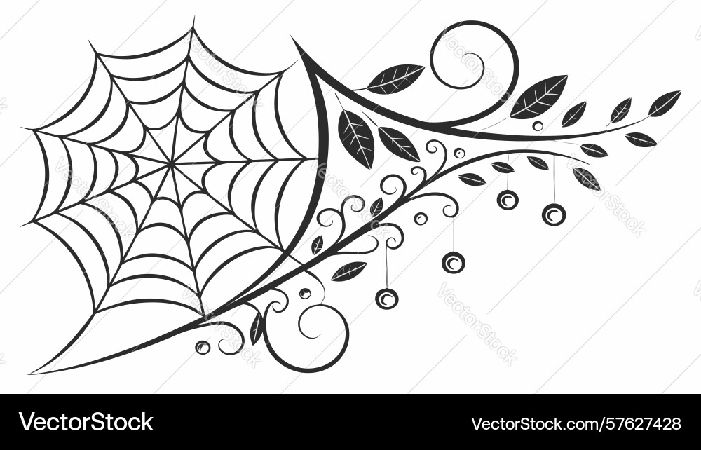 Intricate spider web with twisting branches vector image