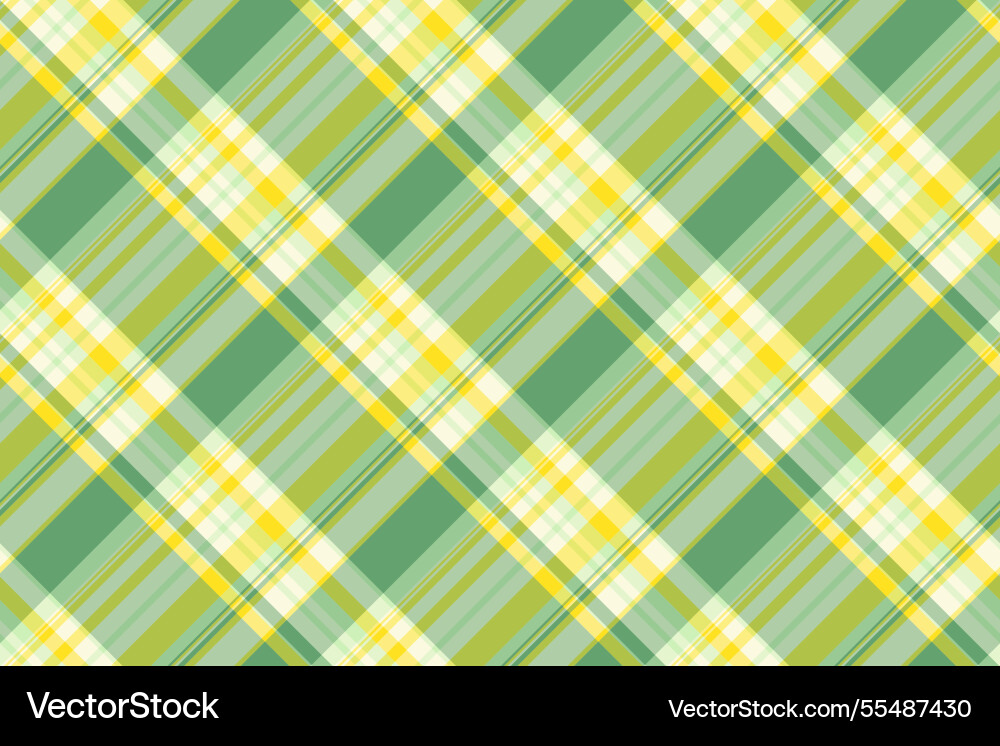 Customize pattern textile tartan couch check vector image