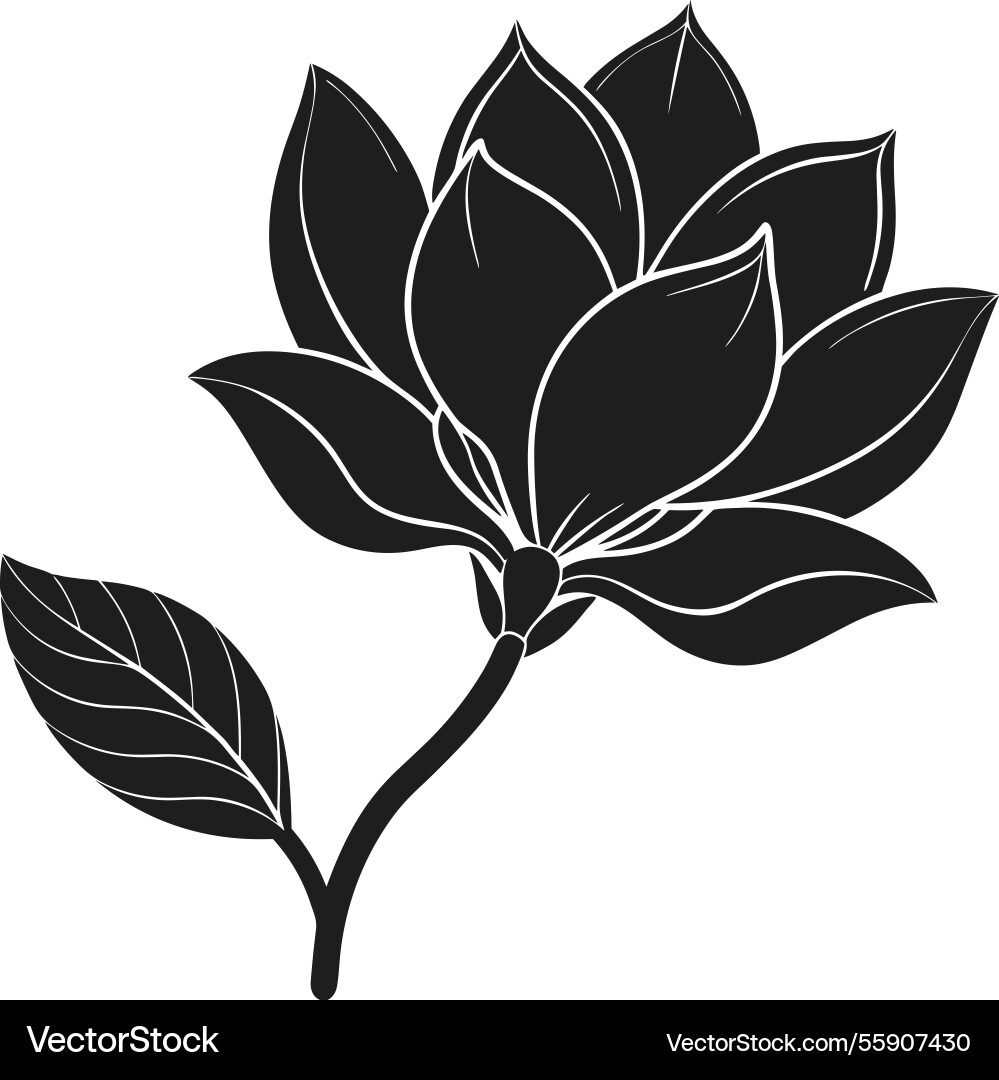 Elegant magnolia flower silhouette - botanical Elegant magnolia flower silhouette - botanical vector image