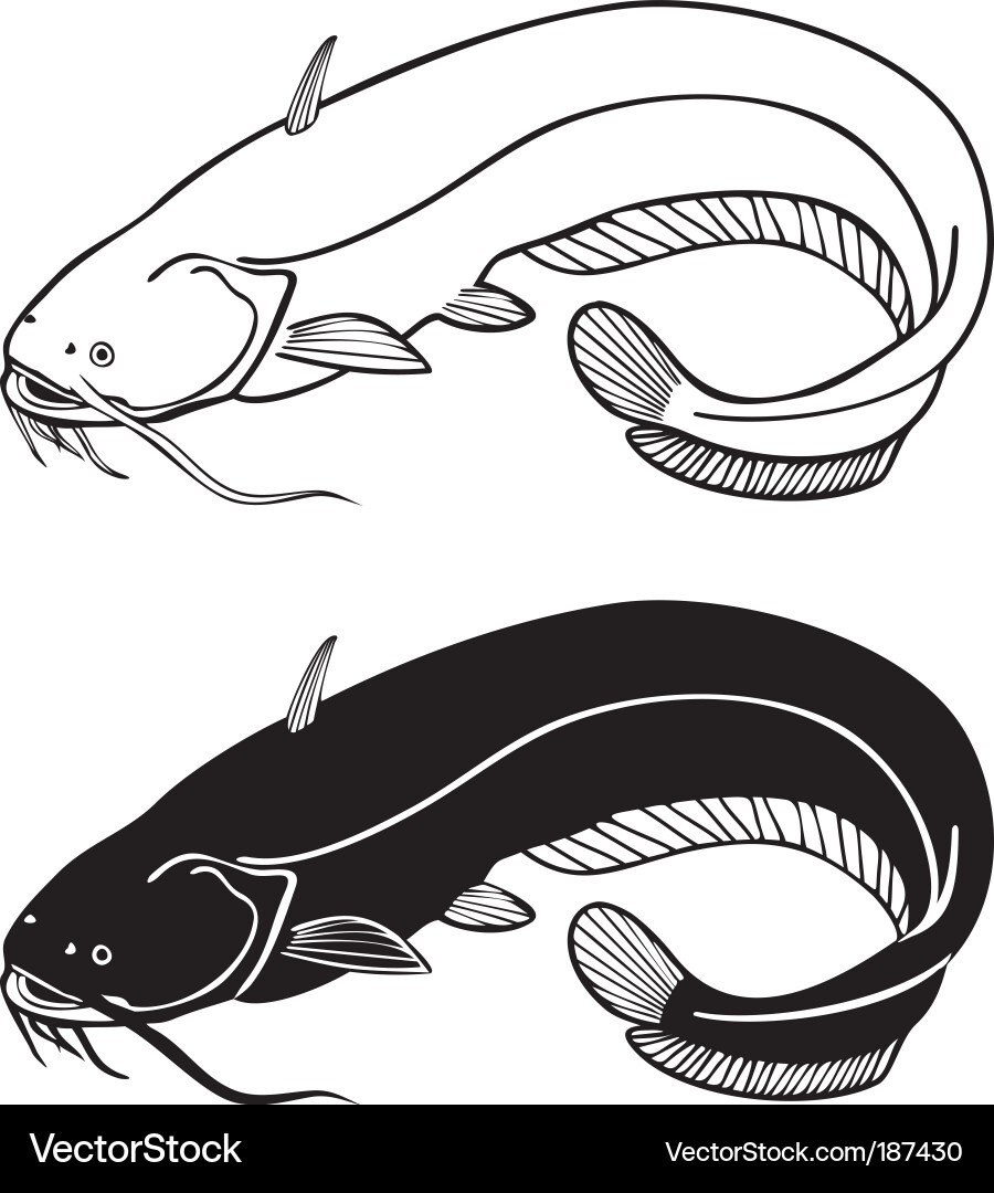 Elegante Fisch Art vektorbild