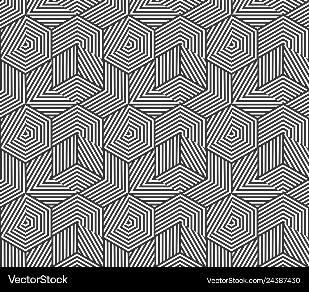 Irregular Polygon Grid Pattern vector image