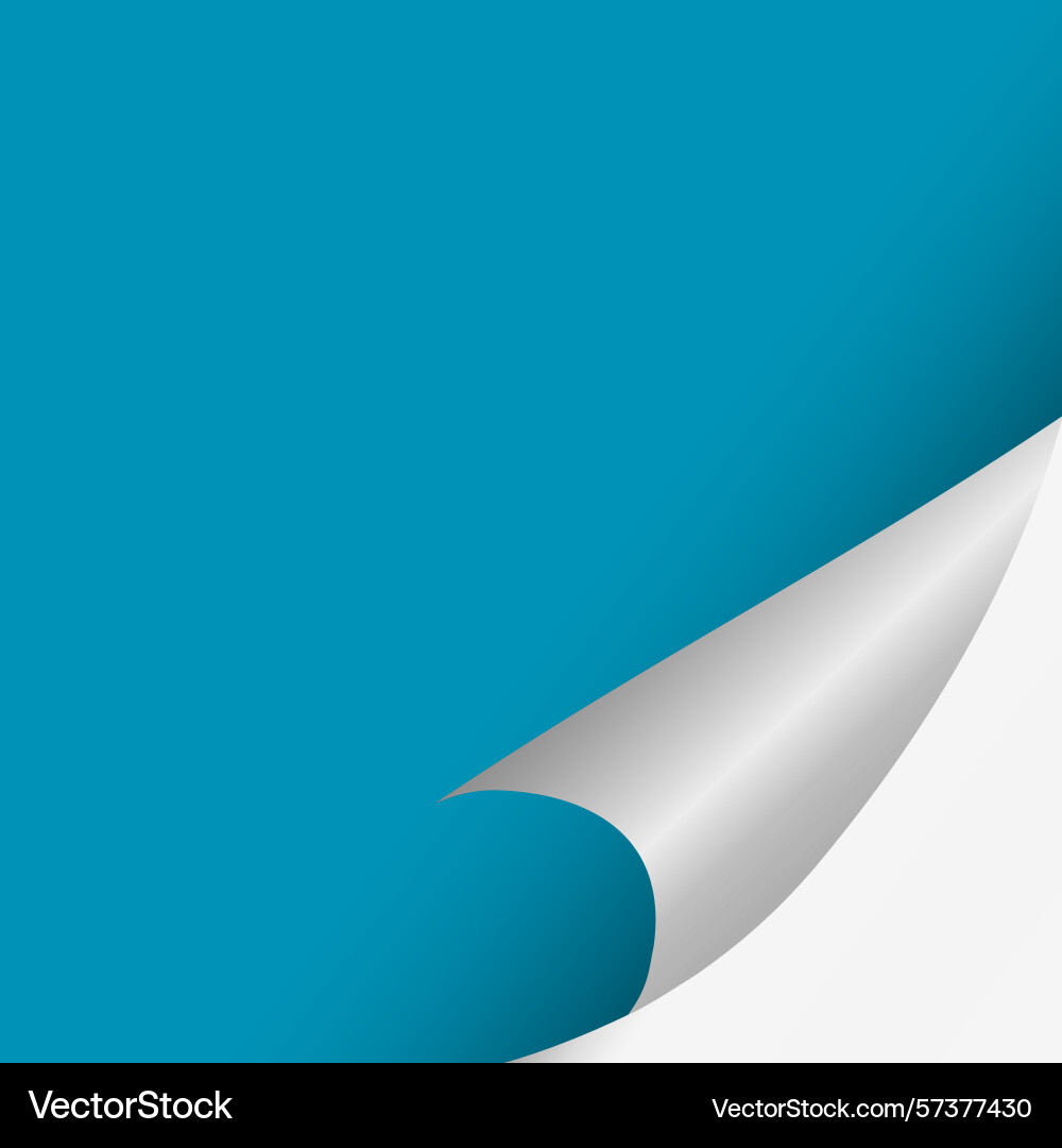 Page curl curled color paper blank sheet Vector Image