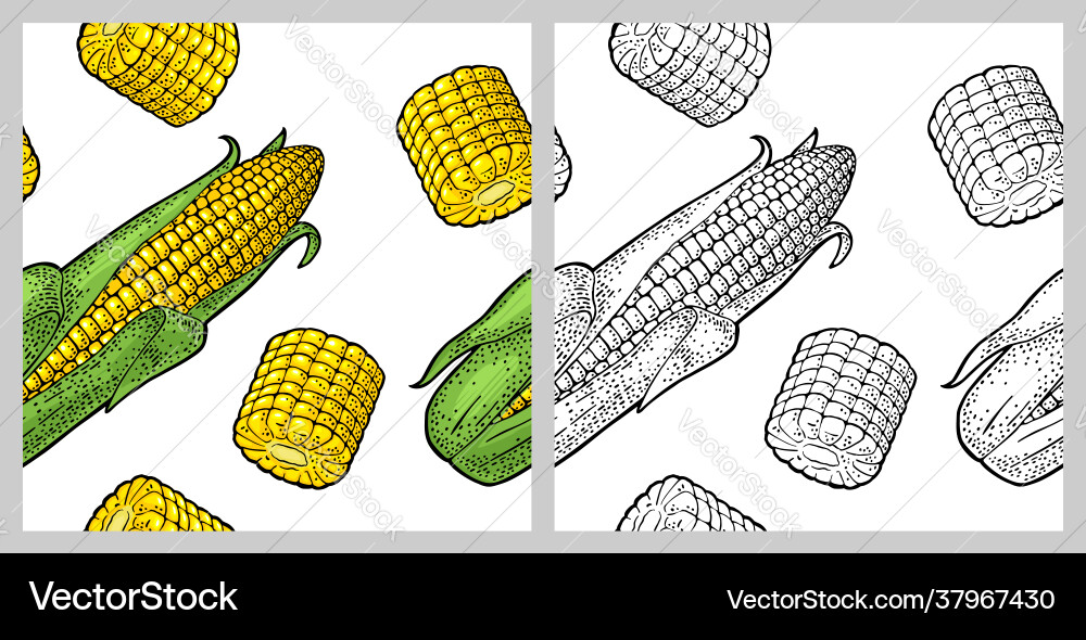 Seamless pattern ripe corn cob with and without Seamless pattern ripe corn cob with and without vector image
