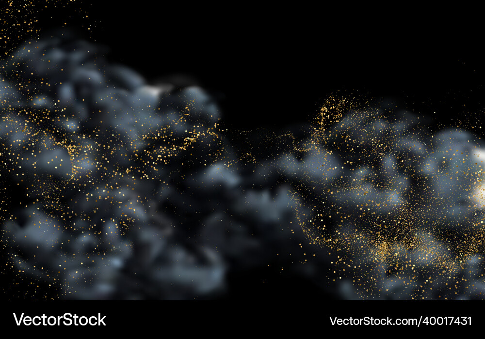 Holiday abstract black powder cloud smoke design vector image