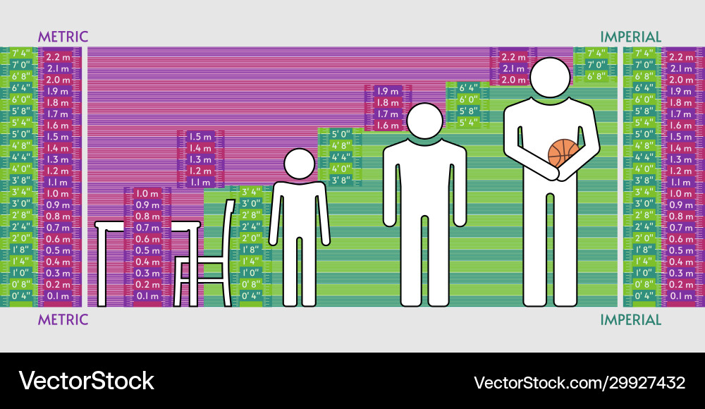 Comparison metric and imperial units height Comparison metric and imperial units height vector image
