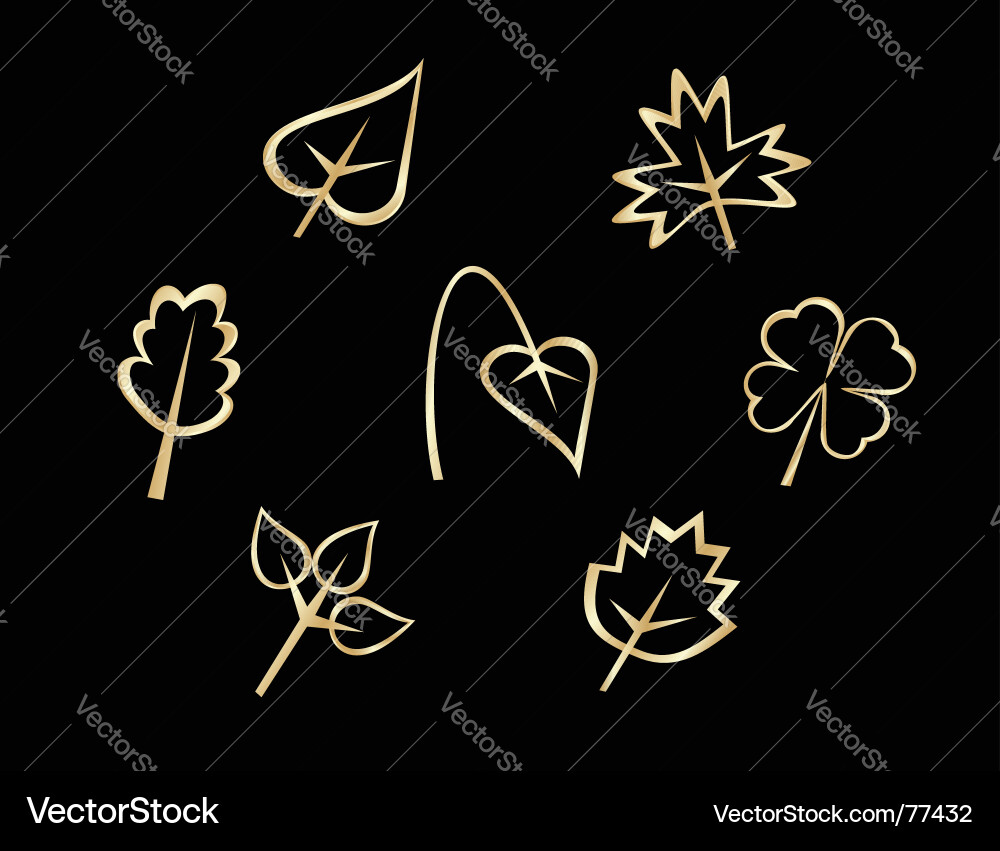Set of leaves icons Vector Image