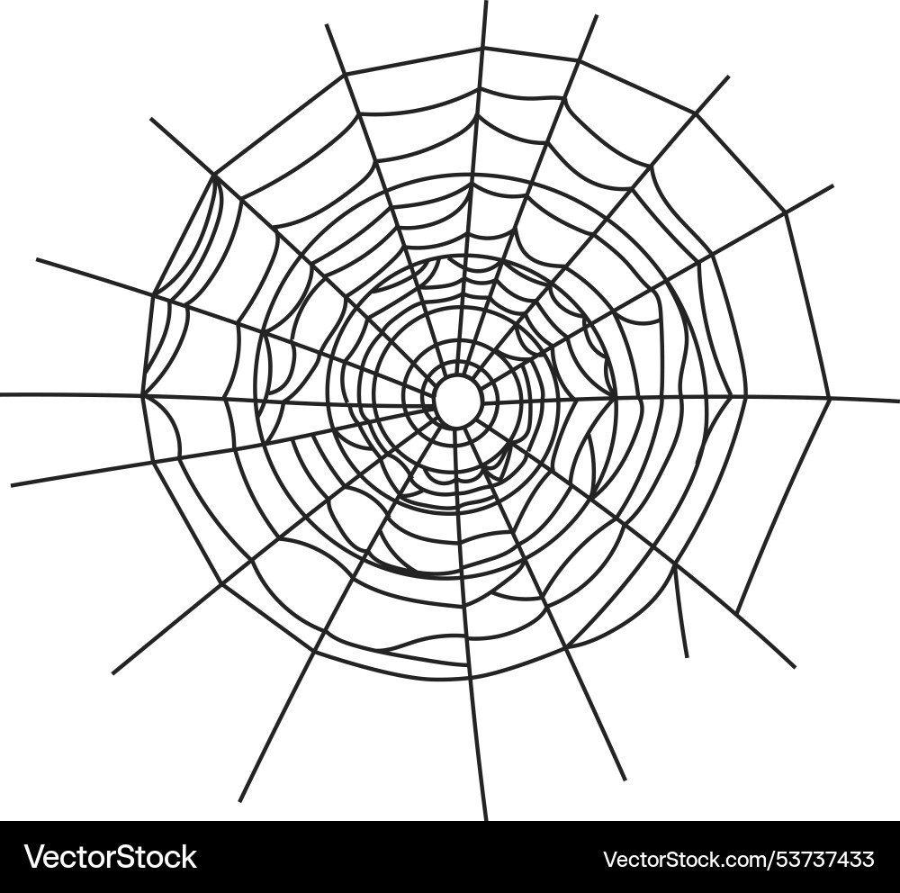 Decorative cobweb gothic insect net black element Decorative cobweb gothic insect net black element vector image