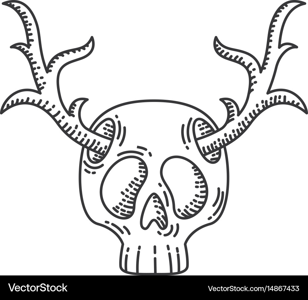 Hipster Skull with Deer Antlers Vector Image