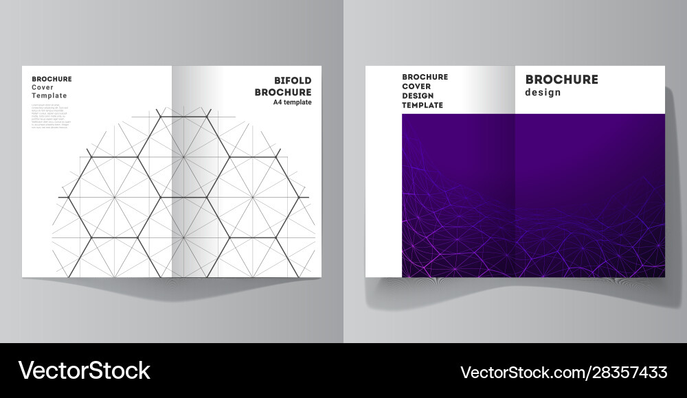 Layout two a4 format modern cover Vector Image