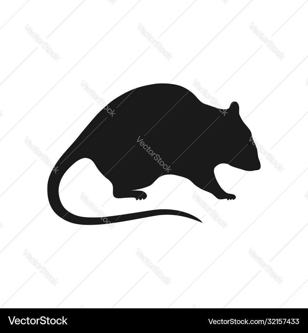 Rat sign Rat sign vector image