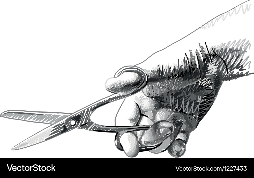 Sketch of hand with scissors Vector Image