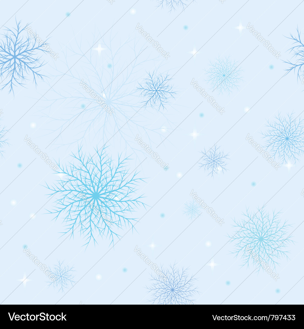 Winter Snowflake Pattern vector image