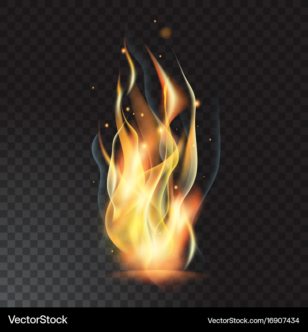 Realistic fire flame Royalty Free Vector Image