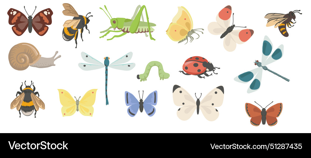 Drawing set of insects Royalty Free Vector Image
