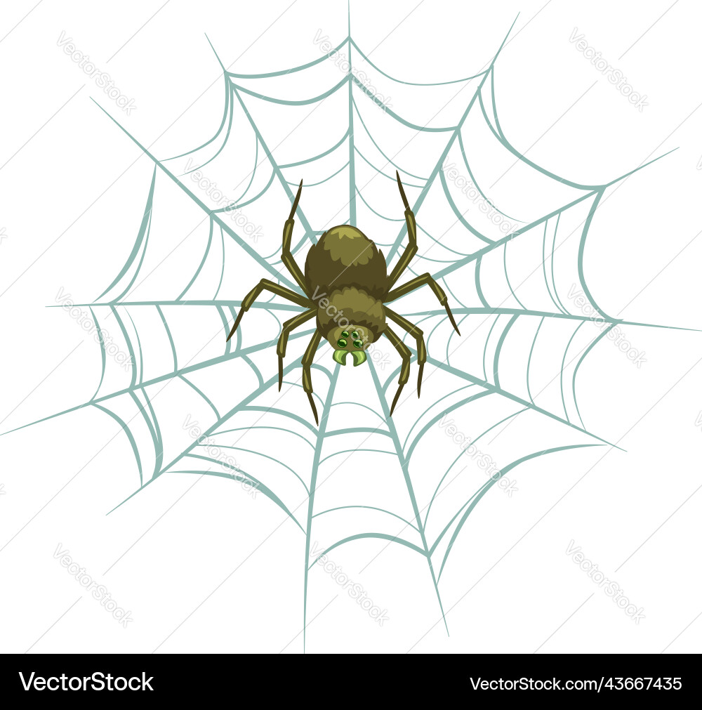 Halloween object icon spider on net Vector Image