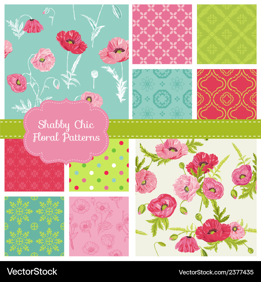 Poppy Floral Seamless Patterns vector image