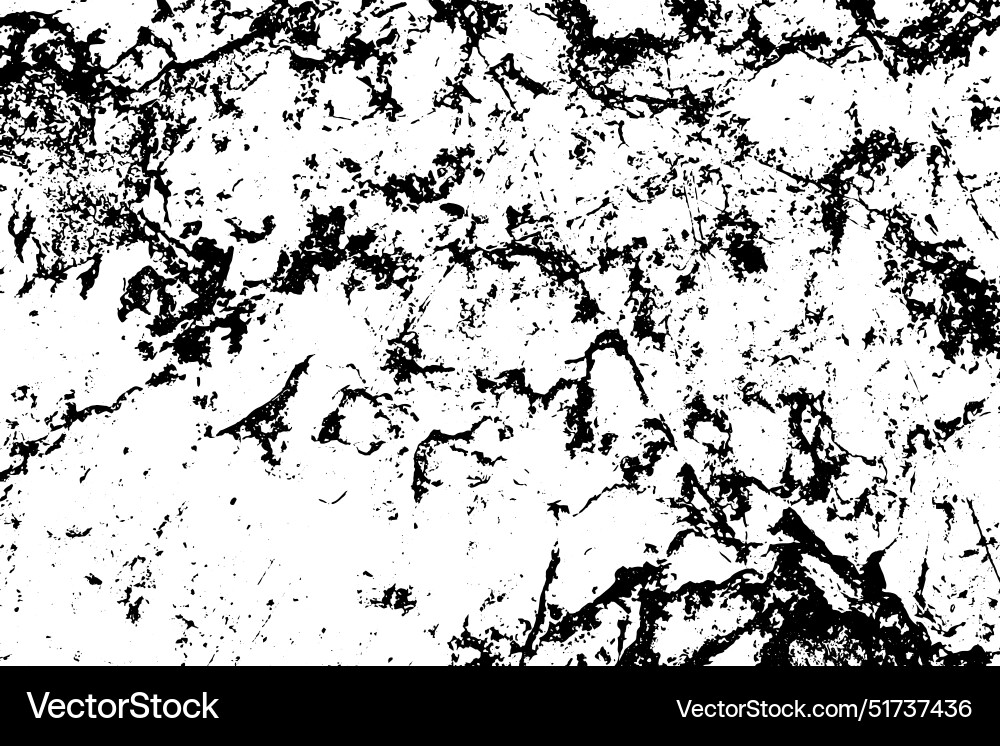 Texture overlay creat grunge effect black Vector Image