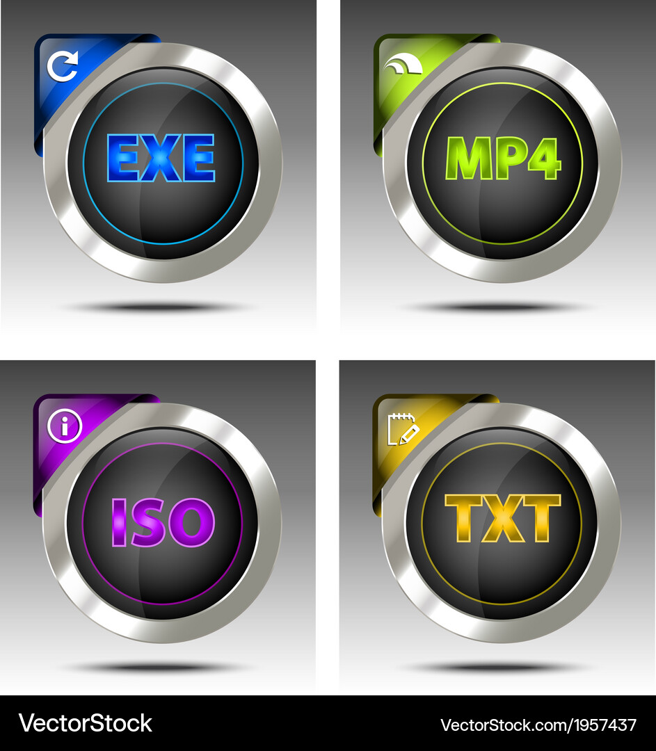 Elegant file type icon set Vector Image