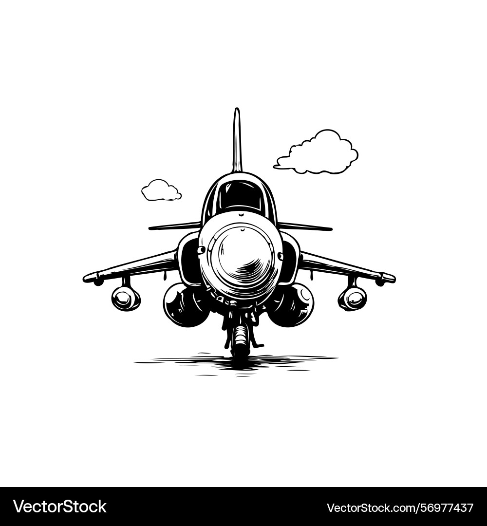 Monochrome rendering showcasing a dynamic Vector Image