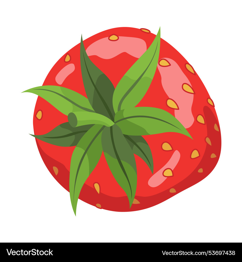 Frische und leckere Erdbeere für Ihr kulinarisches Essen Frische und leckere Erdbeere für Ihr kulinarisches Essen vektorbild