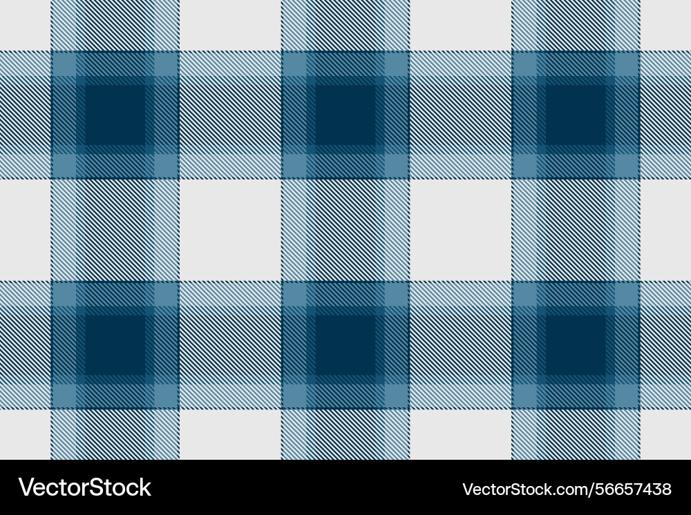 Luxurious plaid fabric pattern ideal for creating Vector Image