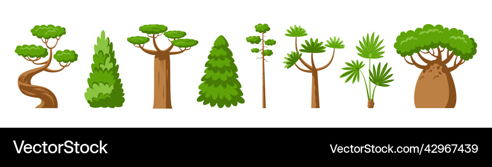 Tree baobab palm dracaena sequoia pine fir spruce Tree baobab palm dracaena sequoia pine fir spruce vector image