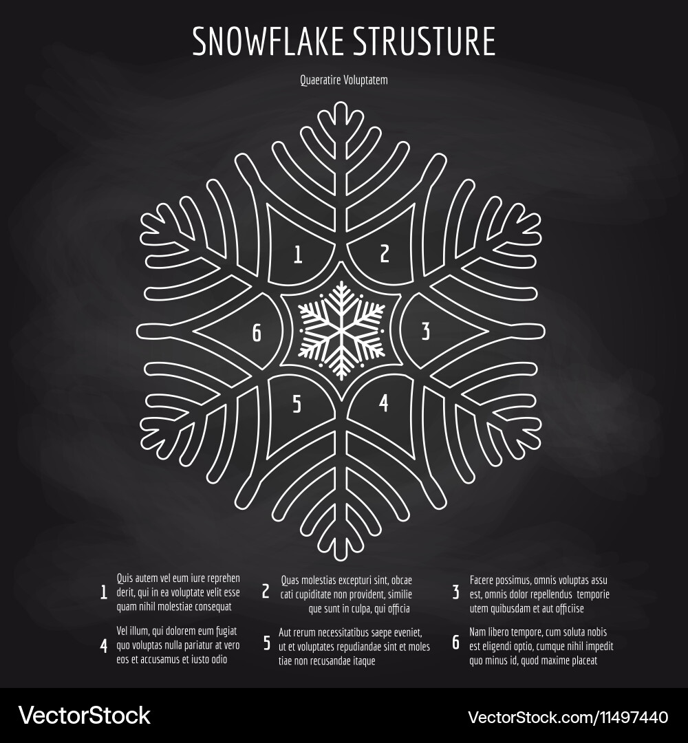 Snowflake structure on chalkboard background vector image