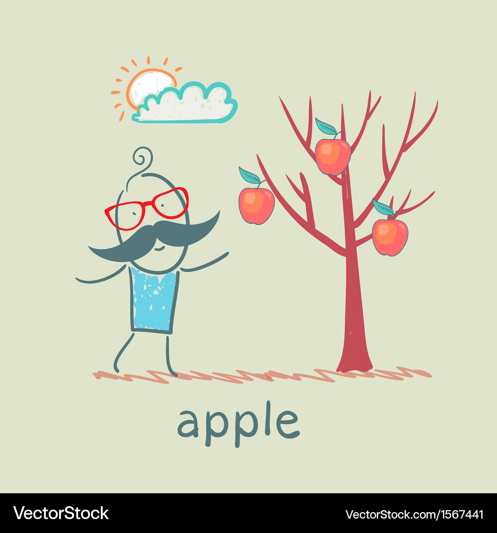A man stands with tree on which apples Vector Image