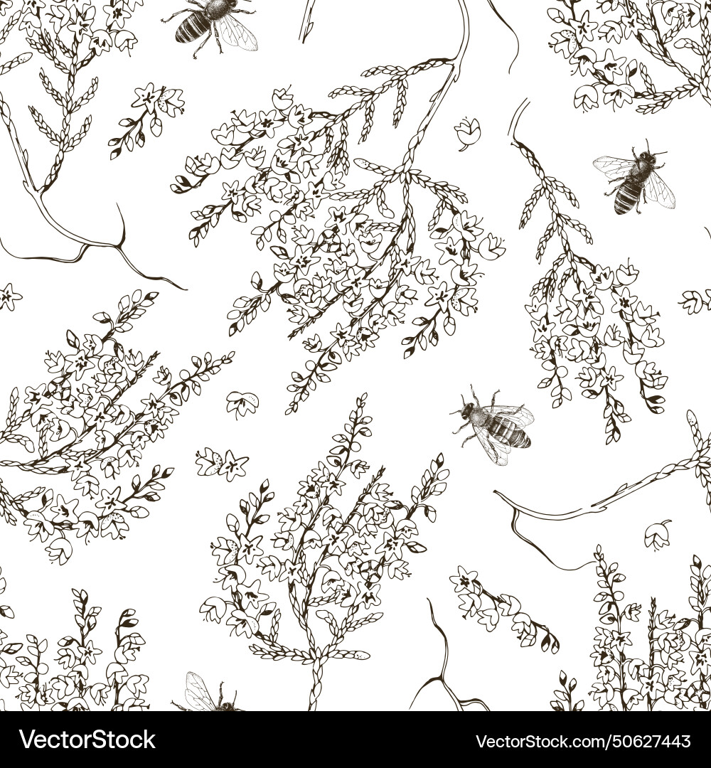 Heather Pattern Vector Seamless pattern with blooming heather and bees Vector Image