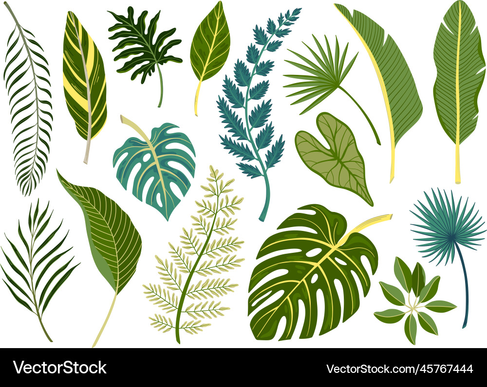 Tropical Leaf Set - Vibrant Green Vector Image