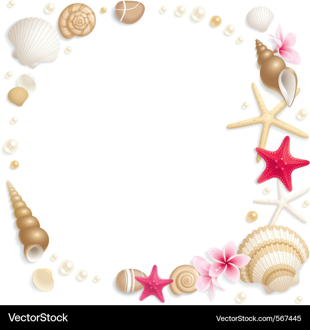 Seashell Frame with Starfish vector image