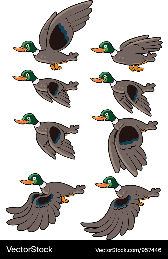 Animated Duck Flying Sequence vector image