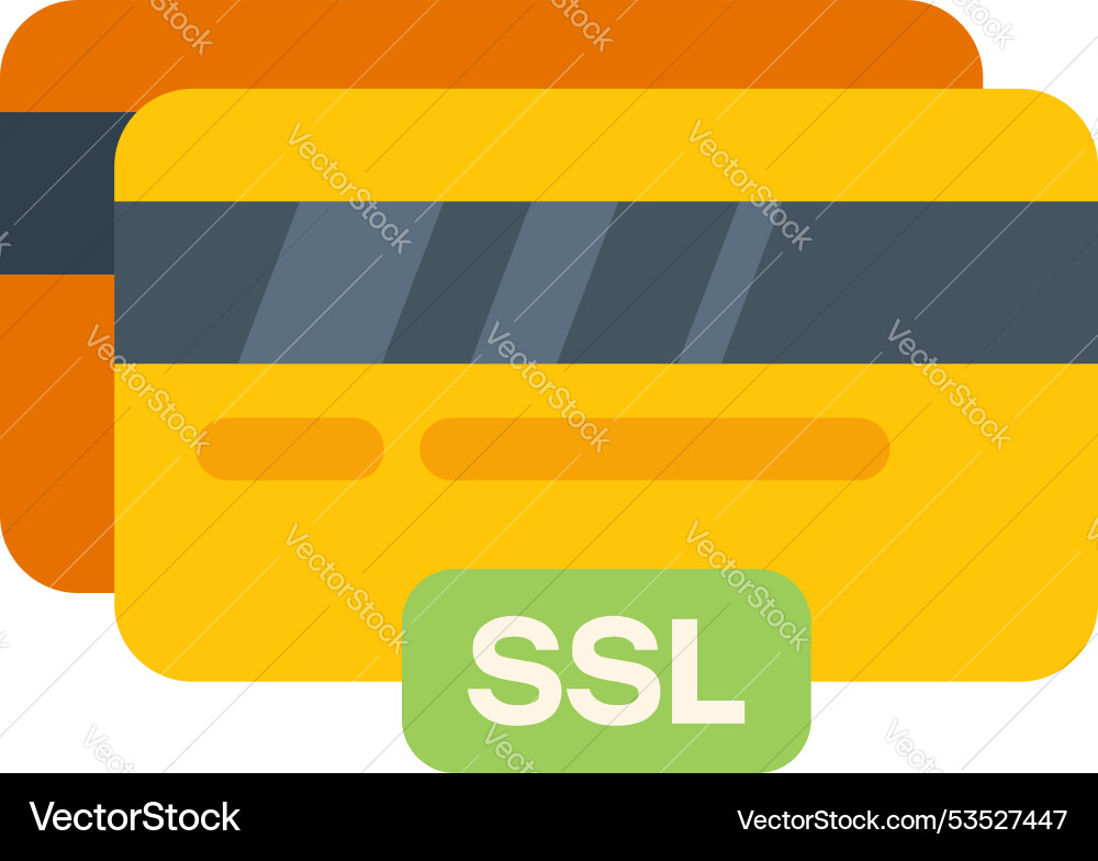 Credit cards using secure sockets layer Credit cards using secure sockets layer vector image
