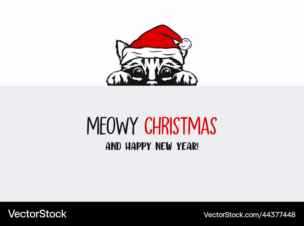 Cute funny hiding peeping kitten cat Cute funny hiding peeping kitten cat vector image