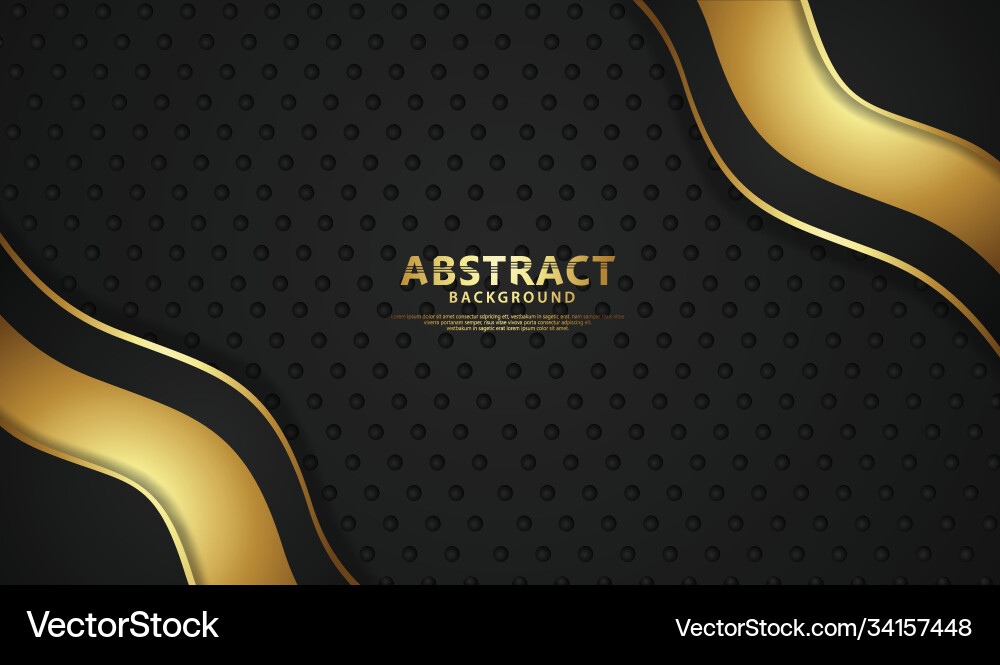 Luxury overlap layers background with lines vector image