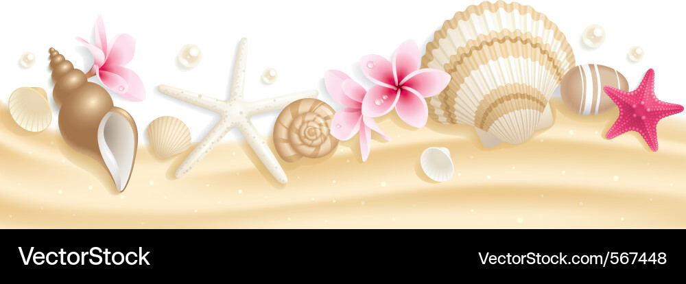 Seashell Beach Header vector image