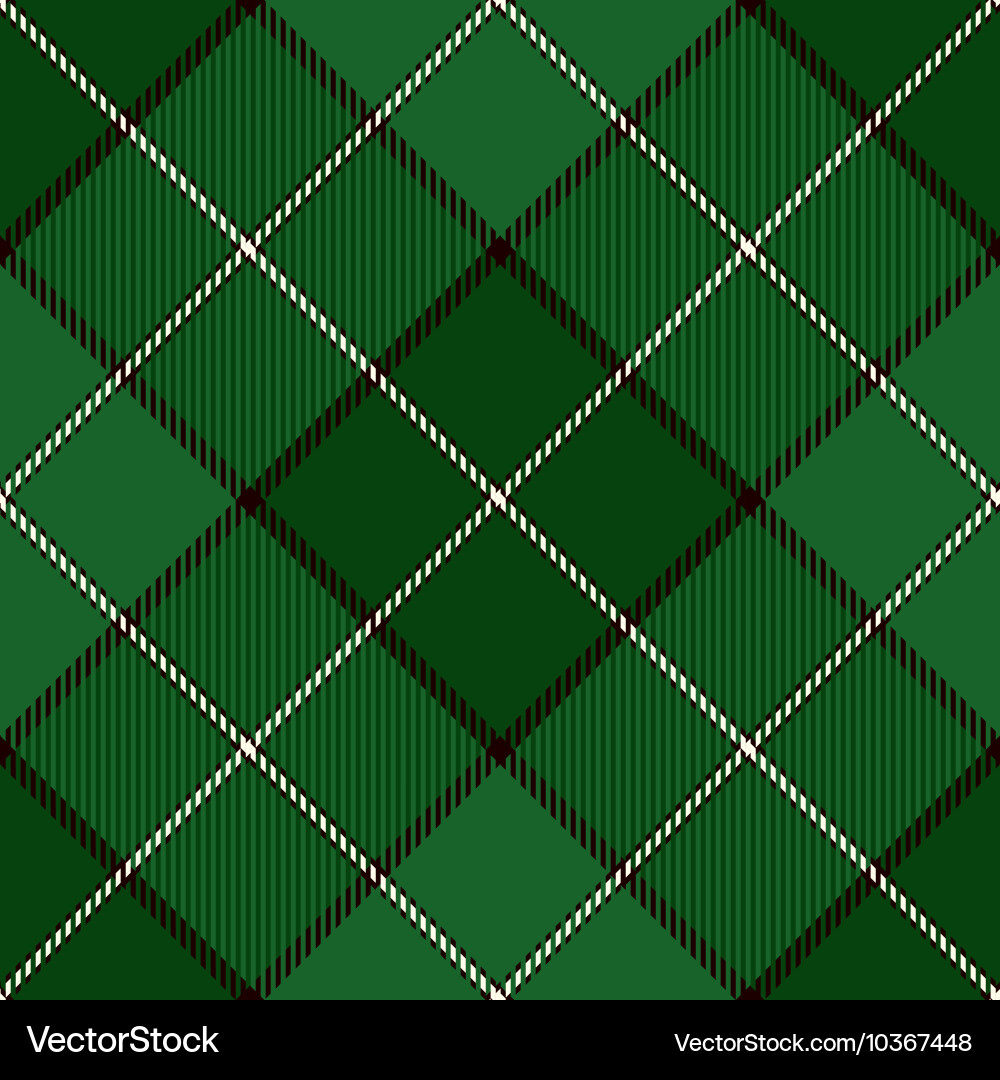Tartan Plaid Pattern vector image