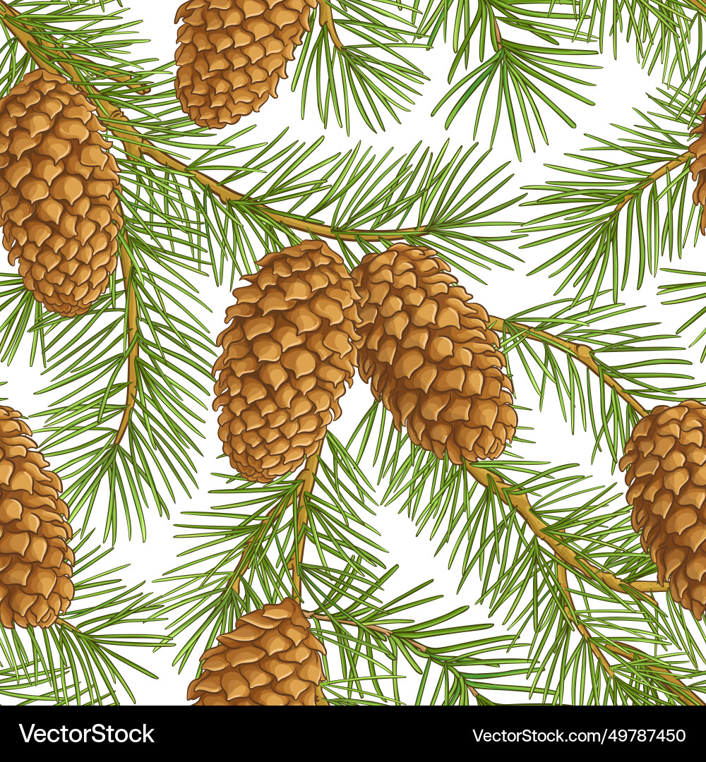 Fir tree pattern on white background Fir tree pattern on white background vector image