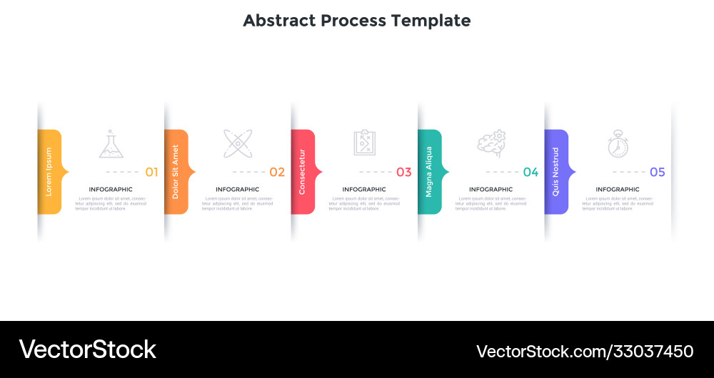Modern infographic options banner Modern infographic options banner vector image