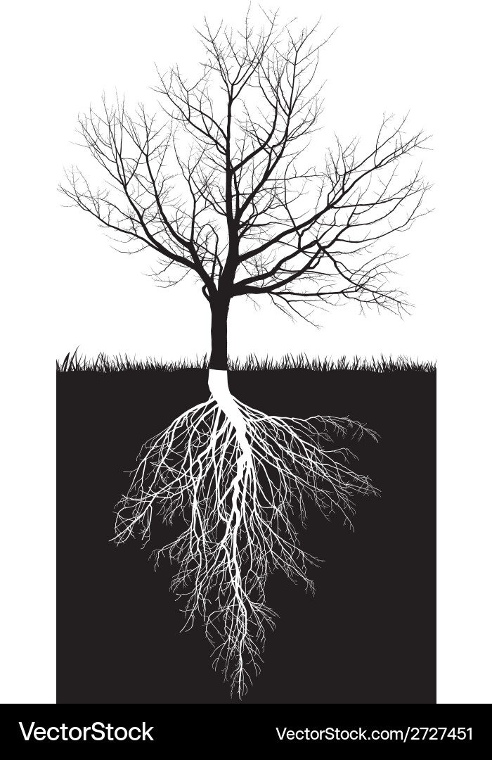 A tree without roots манхва. Tree without roots манга. tree without roots. tree without leaves. tree without roots manhwa.