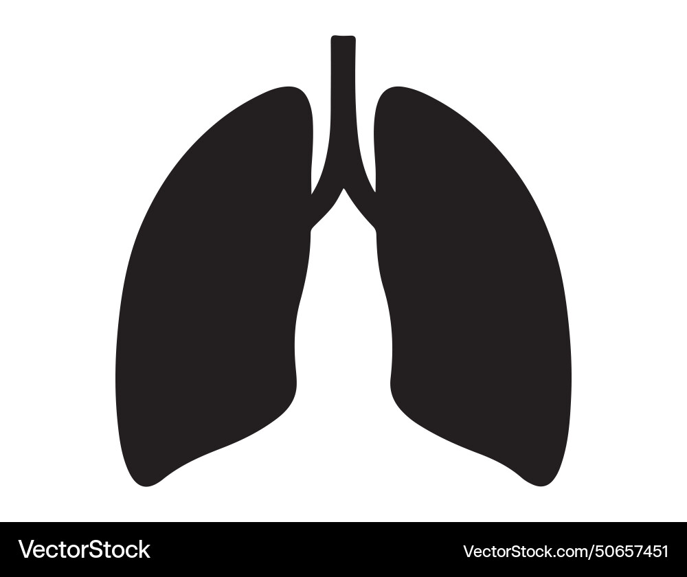 Human lung silhouette art Human lung silhouette art vector image