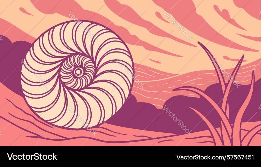 Nautilus shell in red desert trees design vector image