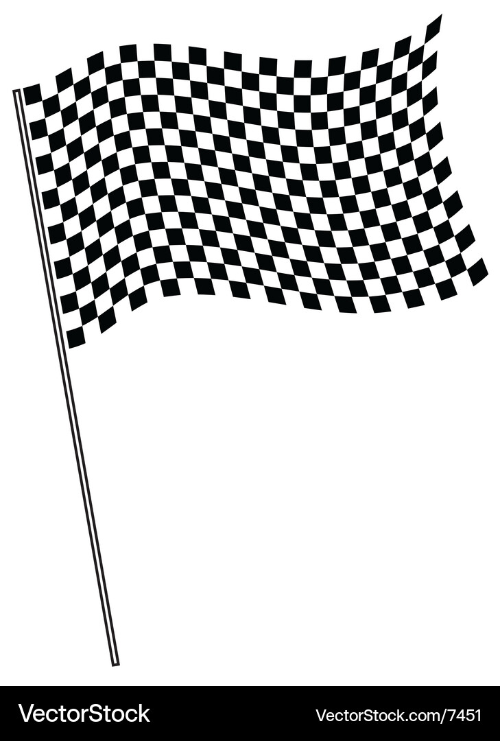 Race Finish Flag Vector Image