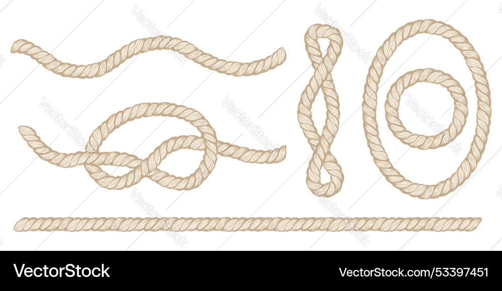 Design Notes With Rope Set design elements with rope knot Royalty Free Vector Image