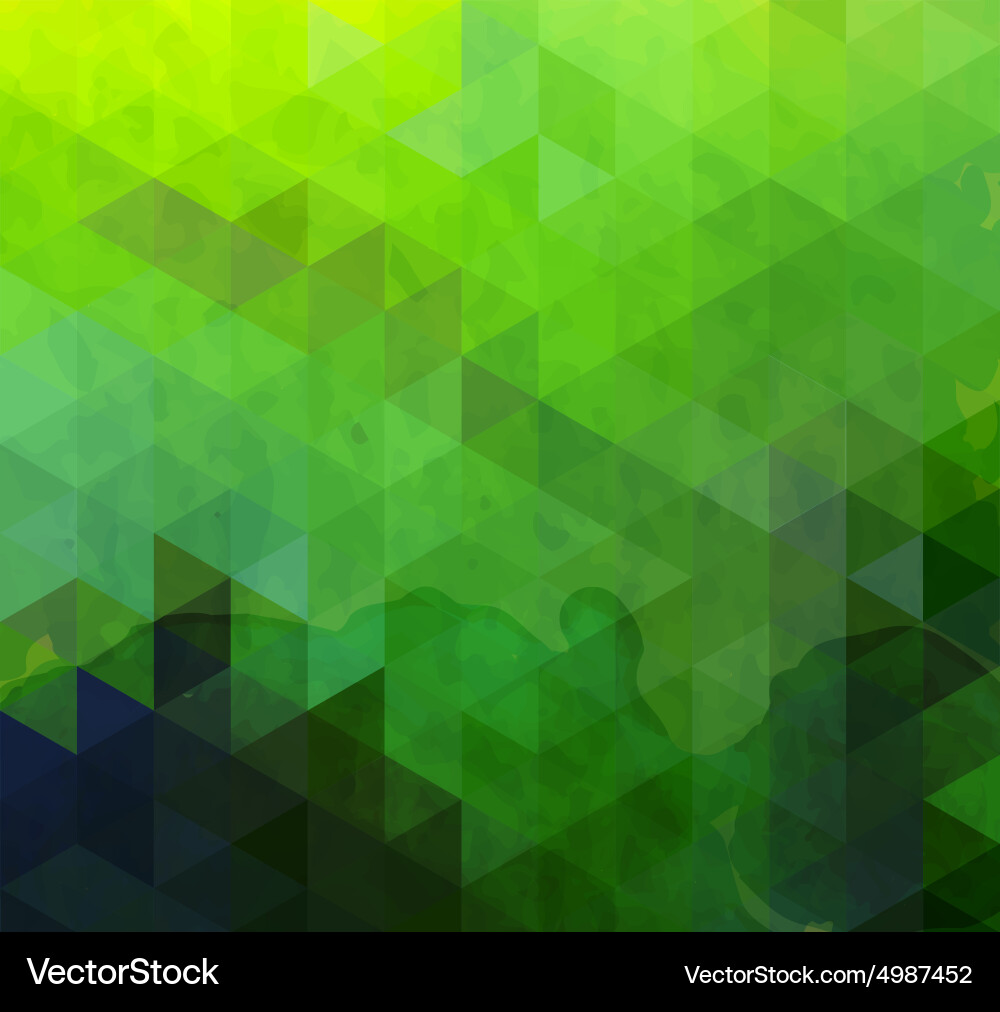 Geometric Triangle Pattern vector image