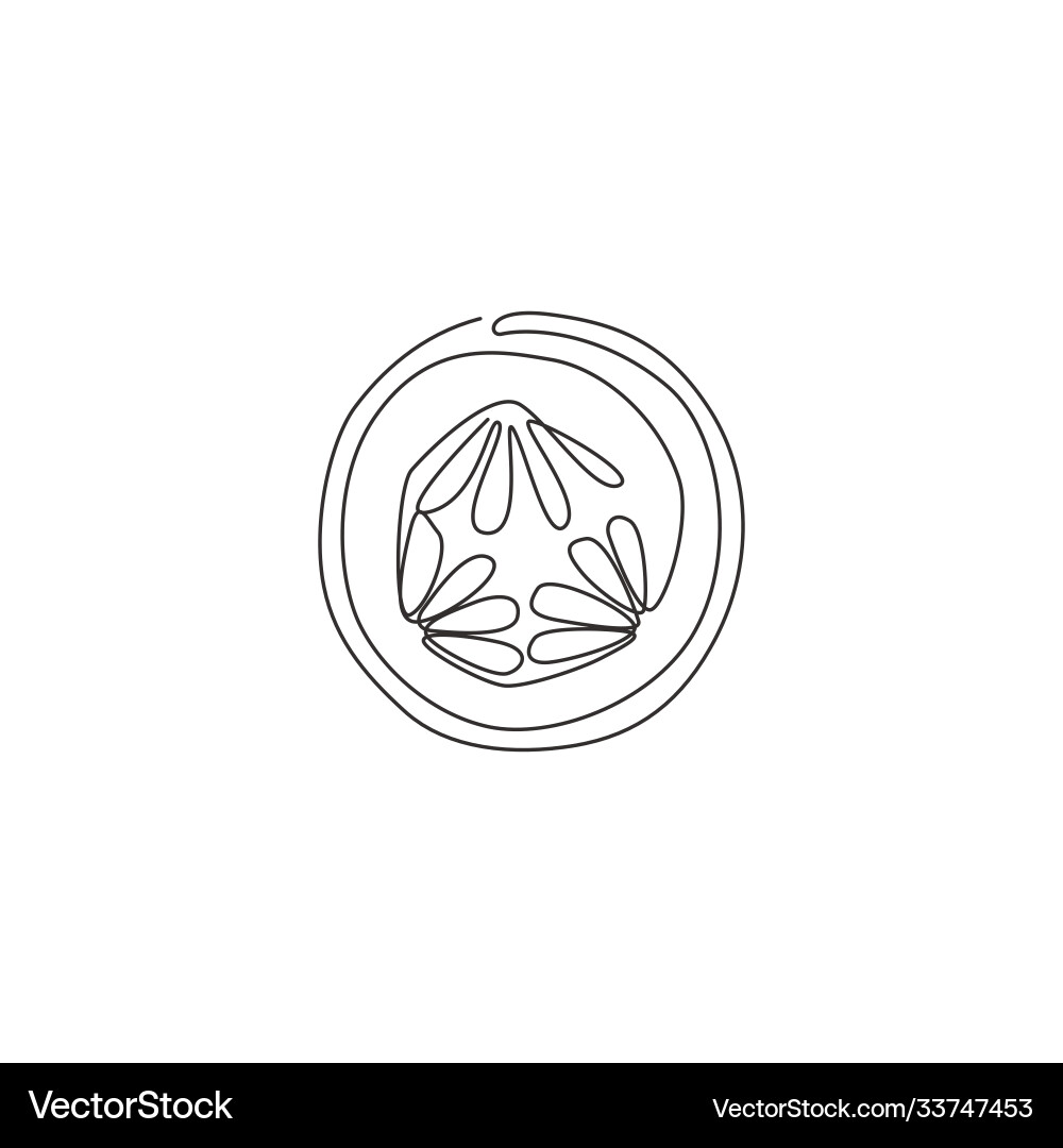 Continuous Line Cucumber Slice vector image