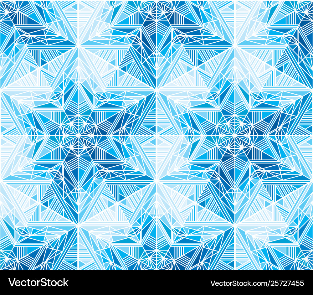 Frozen Star Snowflake Pattern vector image